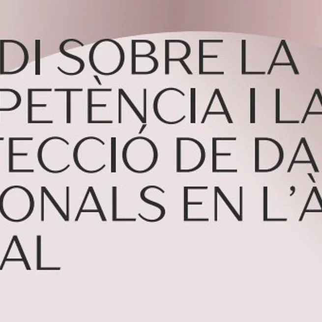 Study on Competition and the Protection of Personal Data in the Digital Sphere